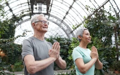 The Best Chair Yoga Positions for Seniors: Keeping Active and Healthy